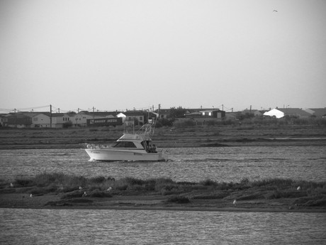 Languedoc-Roussillon