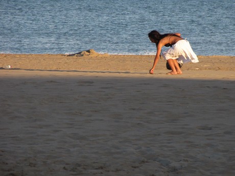 Languedoc-Roussillon