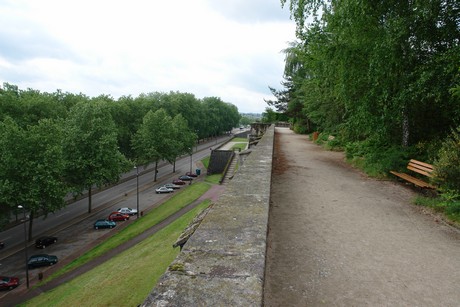 jardin-botanique