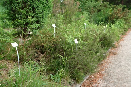 jardin-botanique