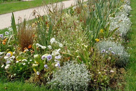 jardin-botanique