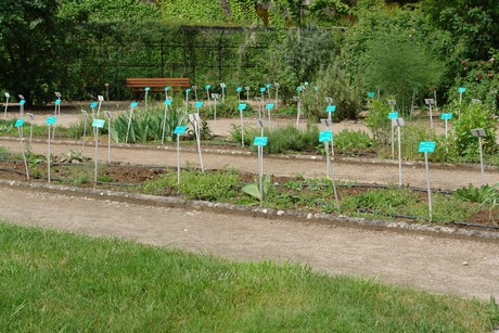 jardin-botanique