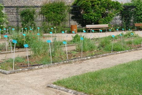 jardin-botanique