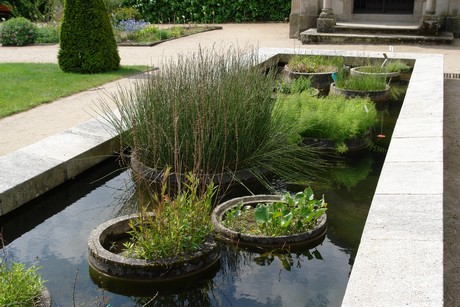 jardin-botanique