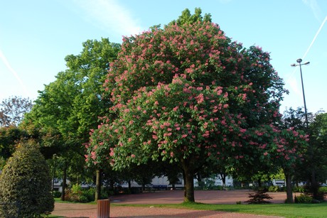 jardin-du-champ-de-juillet