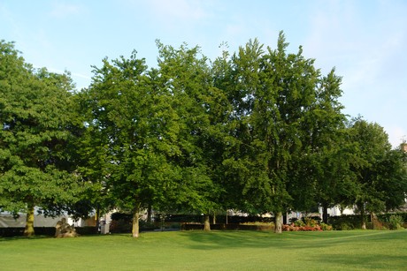 jardin-du-champ-de-juillet