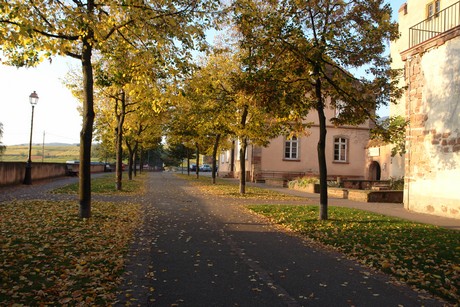 morgens