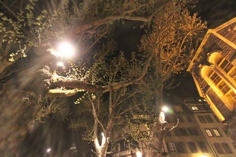 nacht