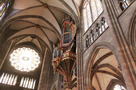 muenster