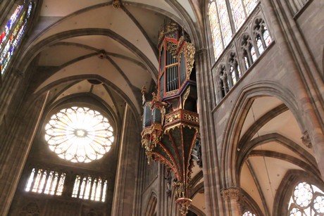 muenster