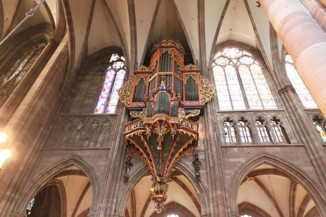 muenster