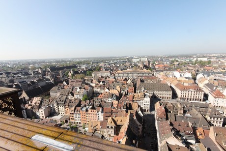 muenster-Turmbesteigung