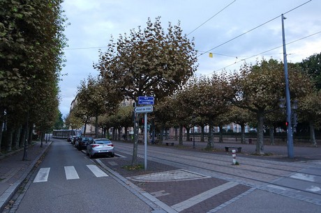 strasburg