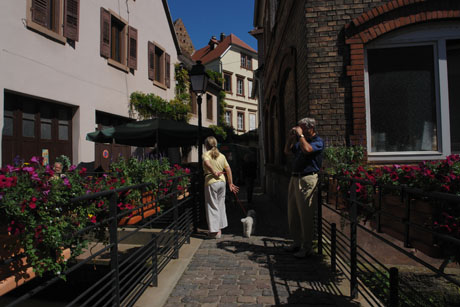 wissembourg