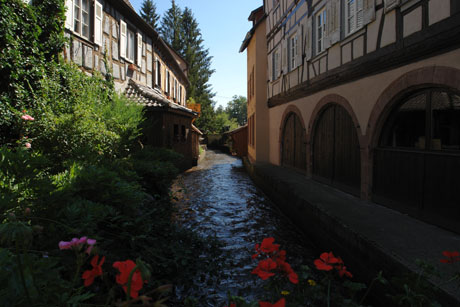 wissembourg