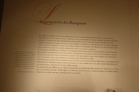 museum-bonaparte