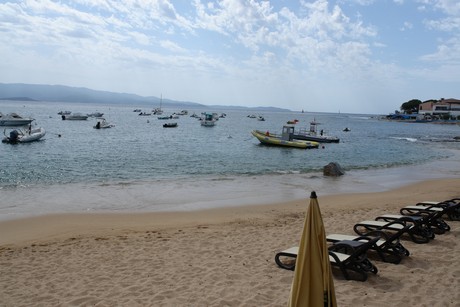 strand