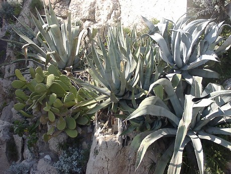 antibes