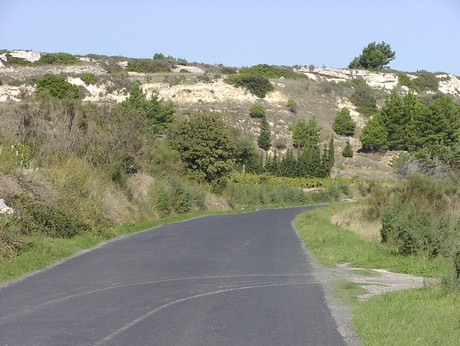 bages