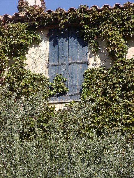 bages