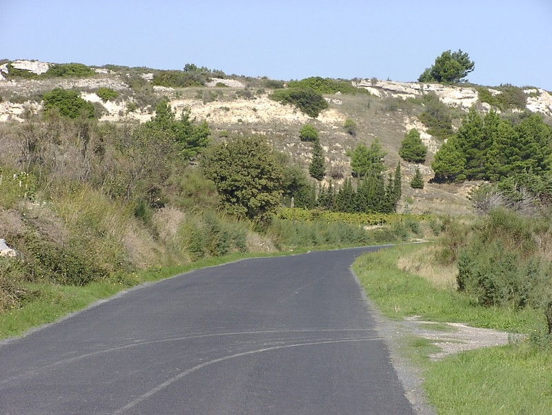 bages