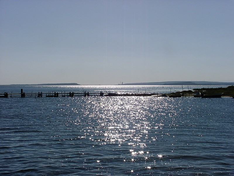 bages