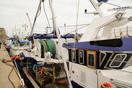 Barfleur