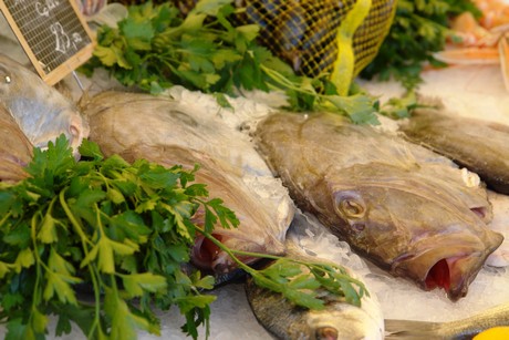 markt-in-bastia