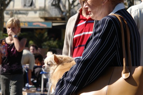 bastia-flohmarkt