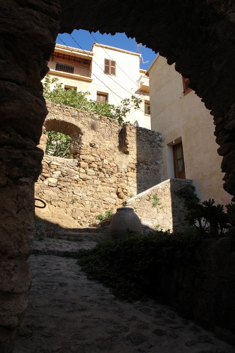 belgodere