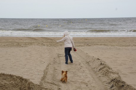 Benerville-sur-Mer