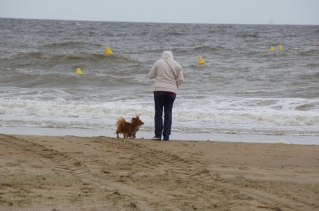 Benerville-sur-Mer