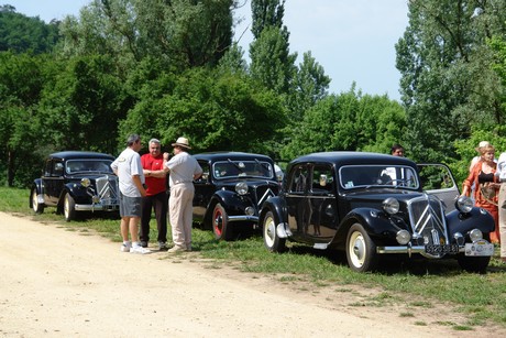 Citroentreffen