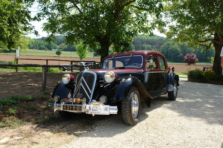 Citroentreffen