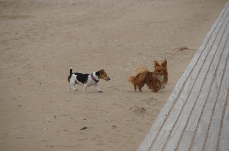 Blonville-sur-Mer