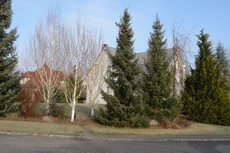 blotzheim