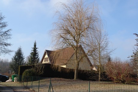 blotzheim