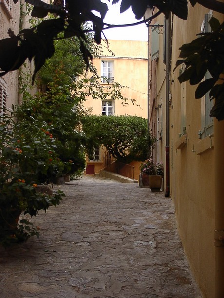 bormes-les-mimosas