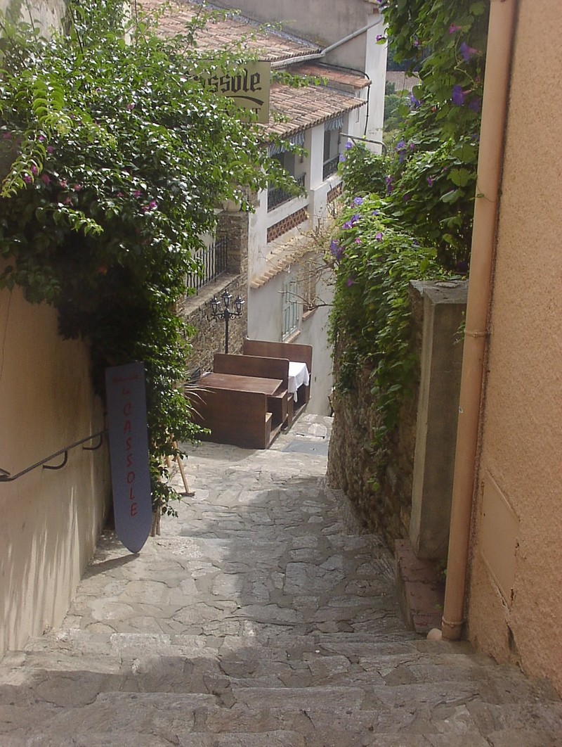 bormes-les-mimosas