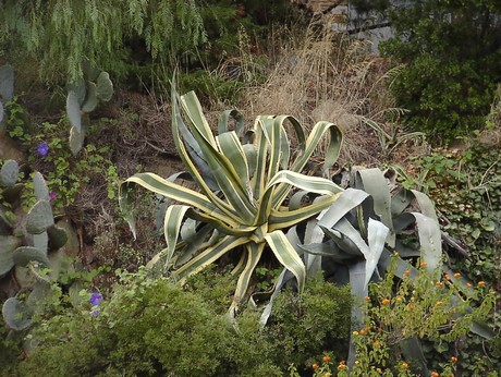 bormes-les-mimosas-kapelle