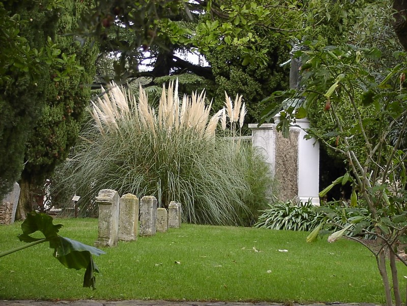 bormes-les-mimosas-kapelle