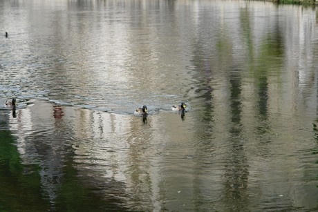 brantome