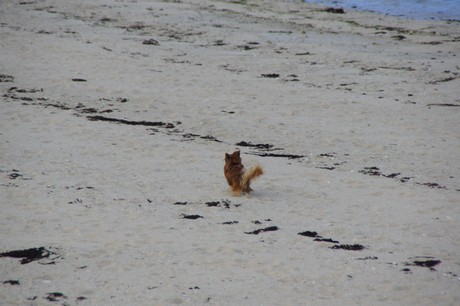 Brignogan-Plage