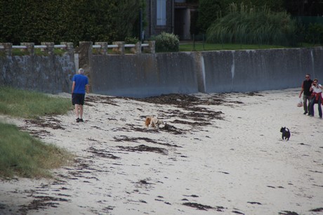 Brignogan-Plage