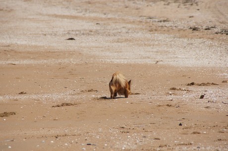 Cabourg