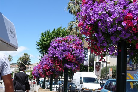 festival-de-cannes