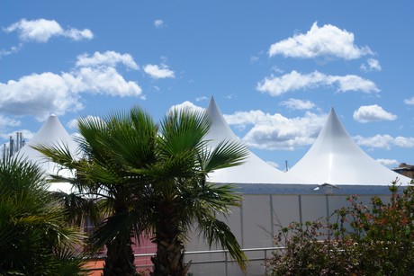 festival-de-cannes