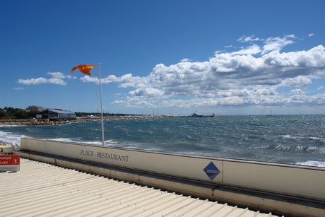 festival-de-cannes