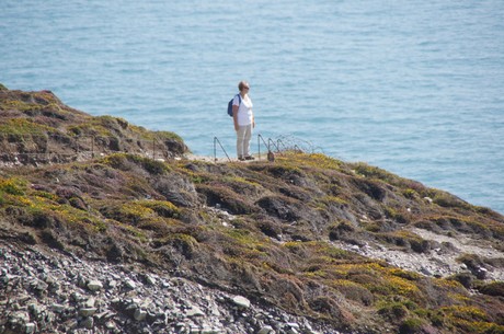 cap-de-la-chevre