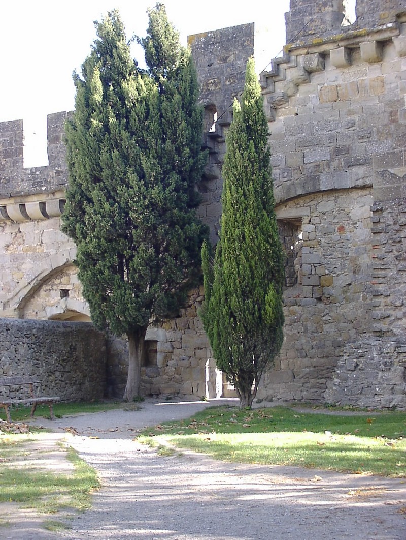 carcassonne